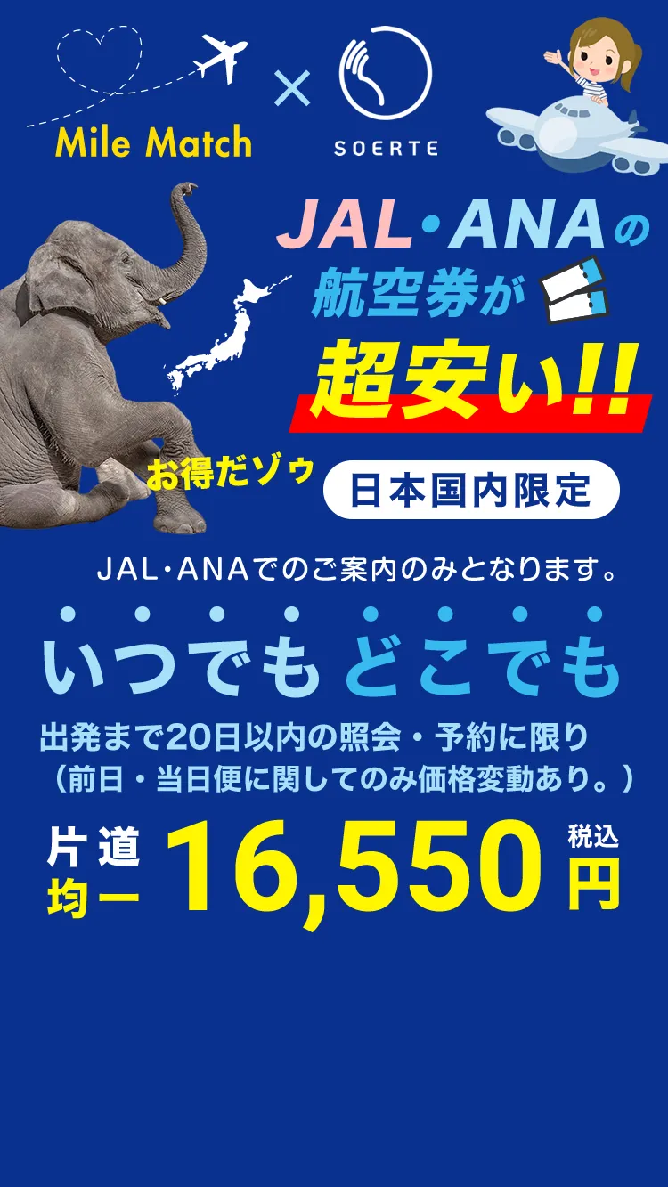 コスパ最強の国内航空券